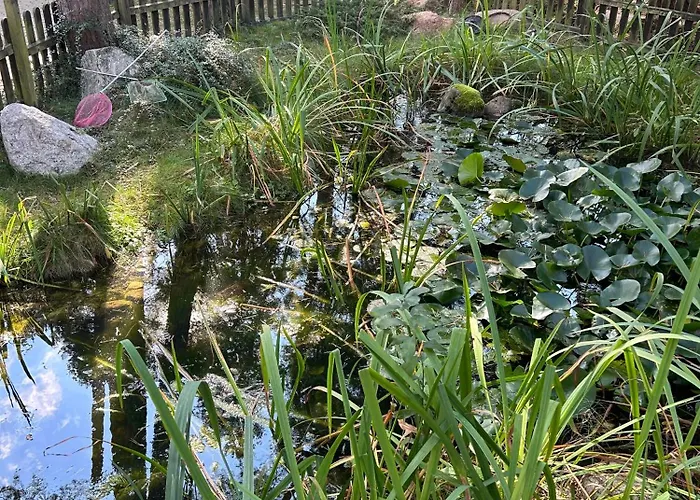 W Pobierowie Appartement *